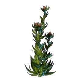 Algae Seedling icon (© Keen Games)