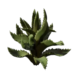 Aloe Seedling icon (© Keen Games)