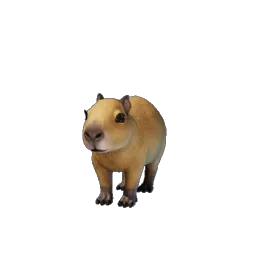 Baby Capybara icon (© Keen Games)