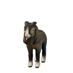 Baby Frizzy Goat icon (© Keen Games)