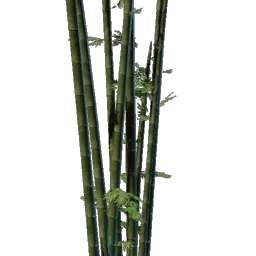 Bamboo Seedling icon (© Keen Games)