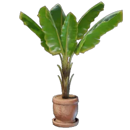 Banana Plant icon (© Keen Games)