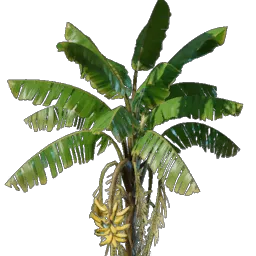 Banana Seedling icon (© Keen Games)