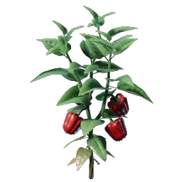 Bell Pepper Seedling icon (© Keen Games)