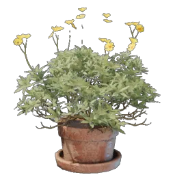 Brittlebush Plant icon (© Keen Games)