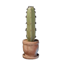 Cactus Plant icon (© Keen Games)