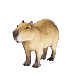 Capybara icon (© Keen Games)