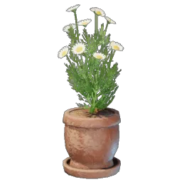 Chamomile Plant icon (© Keen Games)