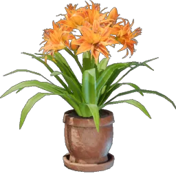 Daylily Plant icon (© Keen Games)