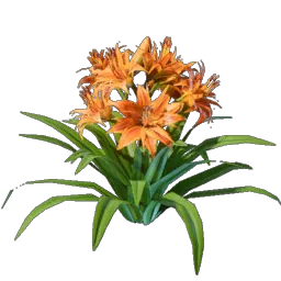 Daylily Seedling icon (© Keen Games)