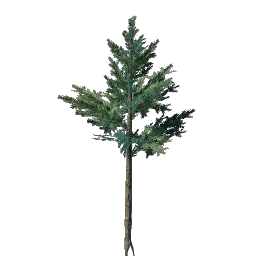 Evergreen Tree Seedling icon (© Keen Games)
