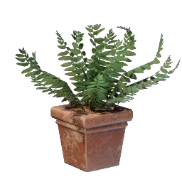 Fern icon (© Keen Games)