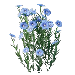 Flax Seedling icon (© Keen Games)