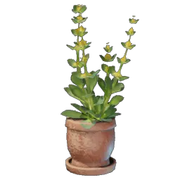 Gentian Plant icon (© Keen Games)