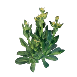 Gentian Seedling icon (© Keen Games)