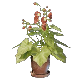 Grapple Plant Flower icon (© Keen Games)