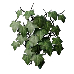 Ivy icon (© Keen Games)
