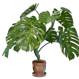 Monstera Plant icon (© Keen Games)