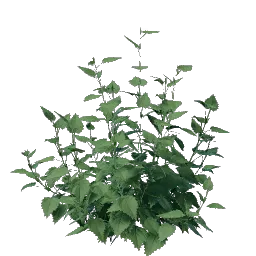 Nettle Seedling icon (© Keen Games)