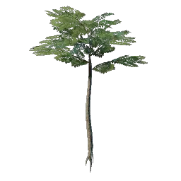 Nomad Highlands Slender Tree Seedling icon (© Keen Games)