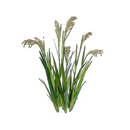 Rice Seedling icon (© Keen Games)