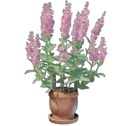 Sage Plant icon (© Keen Games)