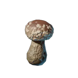 Shiitake Seedling icon (© Keen Games)
