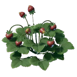 Strawberry Seedling icon (© Keen Games)