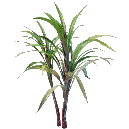Sugar Cane Seedling icon (© Keen Games)