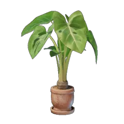 Taro Plant icon (© Keen Games)