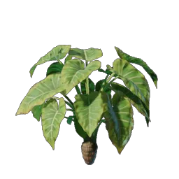 Taro Seedling icon (© Keen Games)