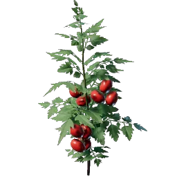 Tomato Seedling icon (© Keen Games)
