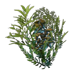 Underwater Overgrowth icon (© Keen Games)