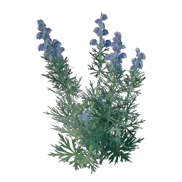 Wolfsbane Seedling icon (© Keen Games)