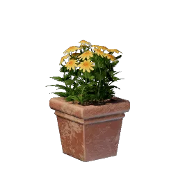Yellow Flower icon (© Keen Games)